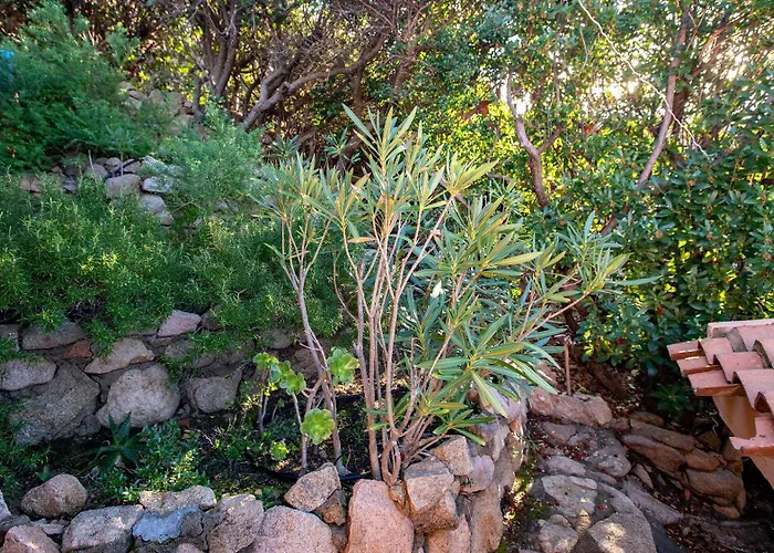 Ferienhaus Casa Cielo Mare Costa Paradiso